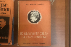 Книга за Александър Стамболийски (снимка)